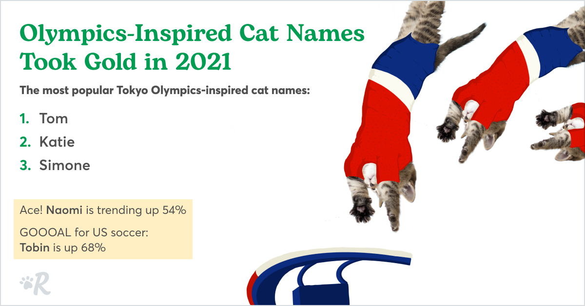 A cat in a gymnast outfit on the vault.