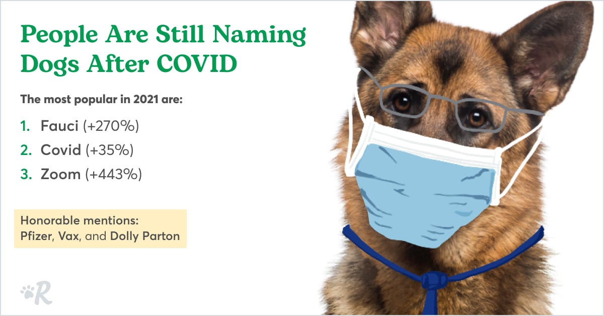 A German Shepherd wearing a mask for Covid-19 inspired dog names