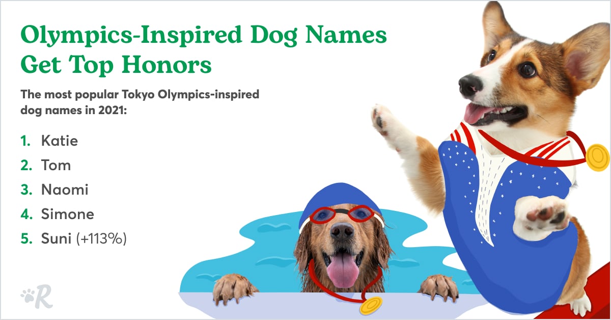 A Golden Retriever in the swimming pool with a gold medal and a Corgi in a gymnast outfit at the Olympics.
