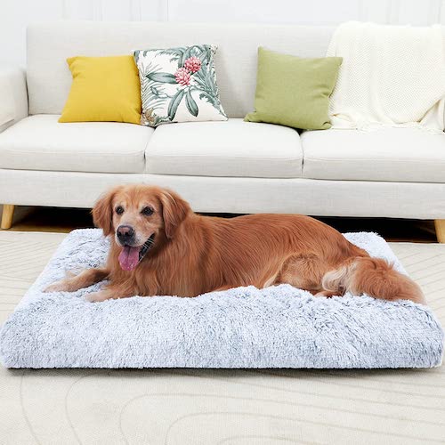 Golden Retriever laying on a Vonabem Washable Dog Bed with Removable Cover