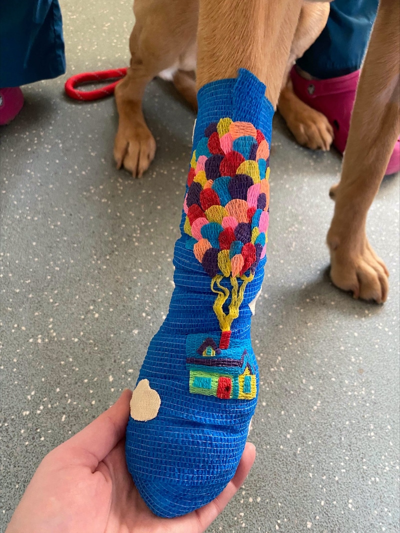 Vet Clinic's Creative Bandages Turn BooBoos Into Works of Art