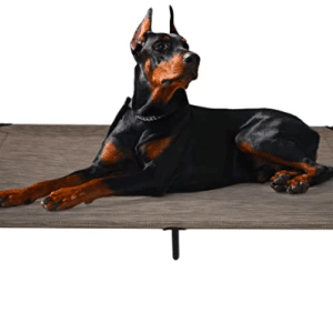 Veehoo Elevated Dog Bed XXL