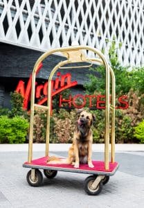 A dog sitting on a luggage cart in front of Virgin Hotel in Las Vegas