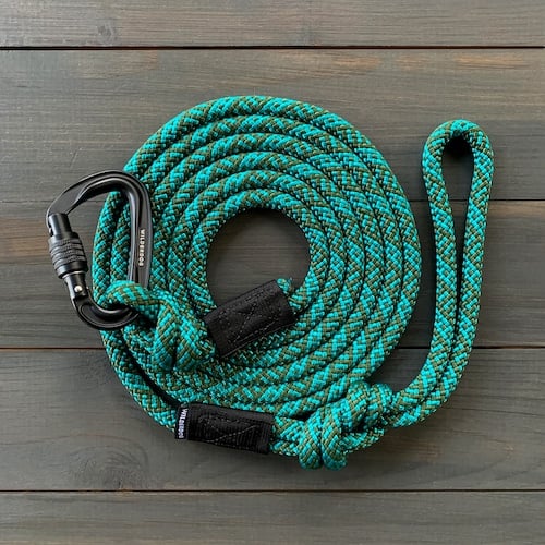 teal and green climbing rope style dog leash for walking