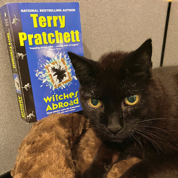 Cat poses next to "Witches Abroad" paperback book