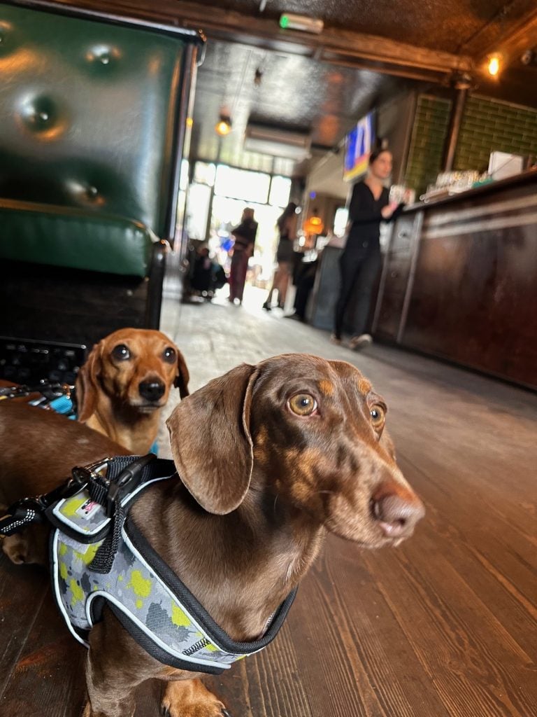 The Woolpack, Bermondsey, Interior