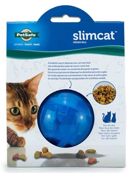 Cat Puzzle Feeder from Doc & Phoebe's Cat Co. Review! 