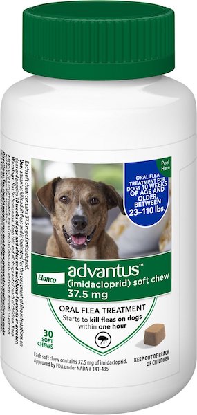 Advantus soft chews flea treatment