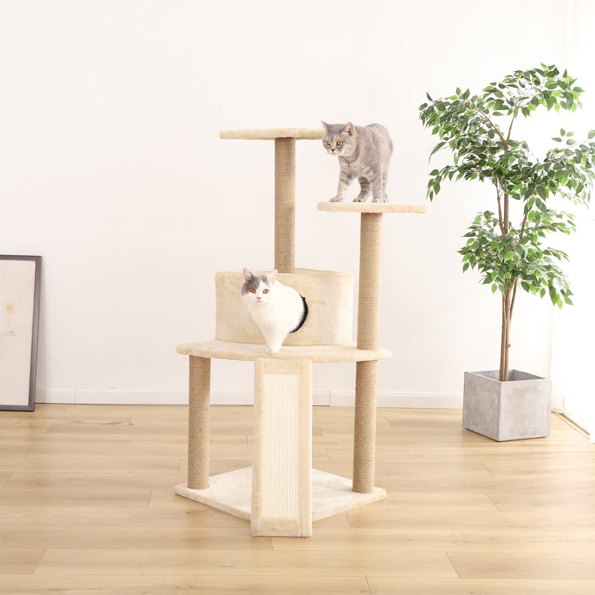 amazon basics cat tree with ramp