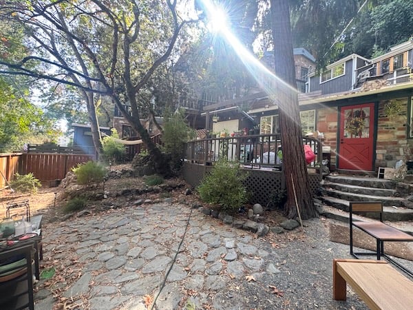 Sunny dog-friendly backyard