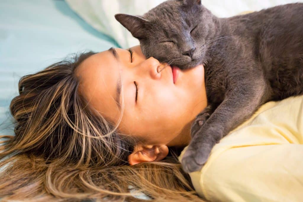 Cat sleeping on person's head