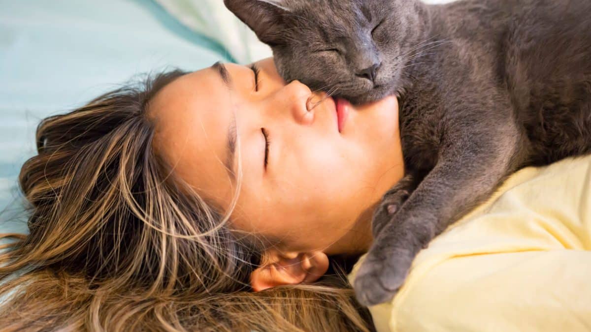 Sind Katzen nachtaktiv? Das bedeuten die Schlafgewohnheiten deiner Katze
