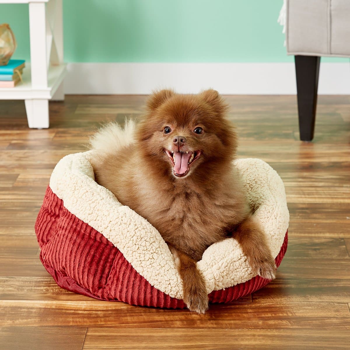 red dog bed with cream-colored lining