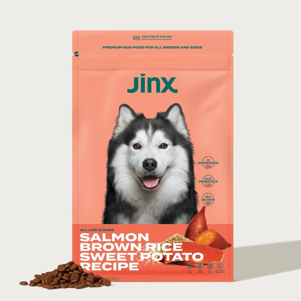 The Best Subscription Dog Food Brands, From Raw to Fresh
