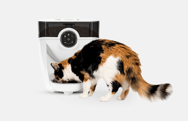 automatic whisker feeder-robot with cat