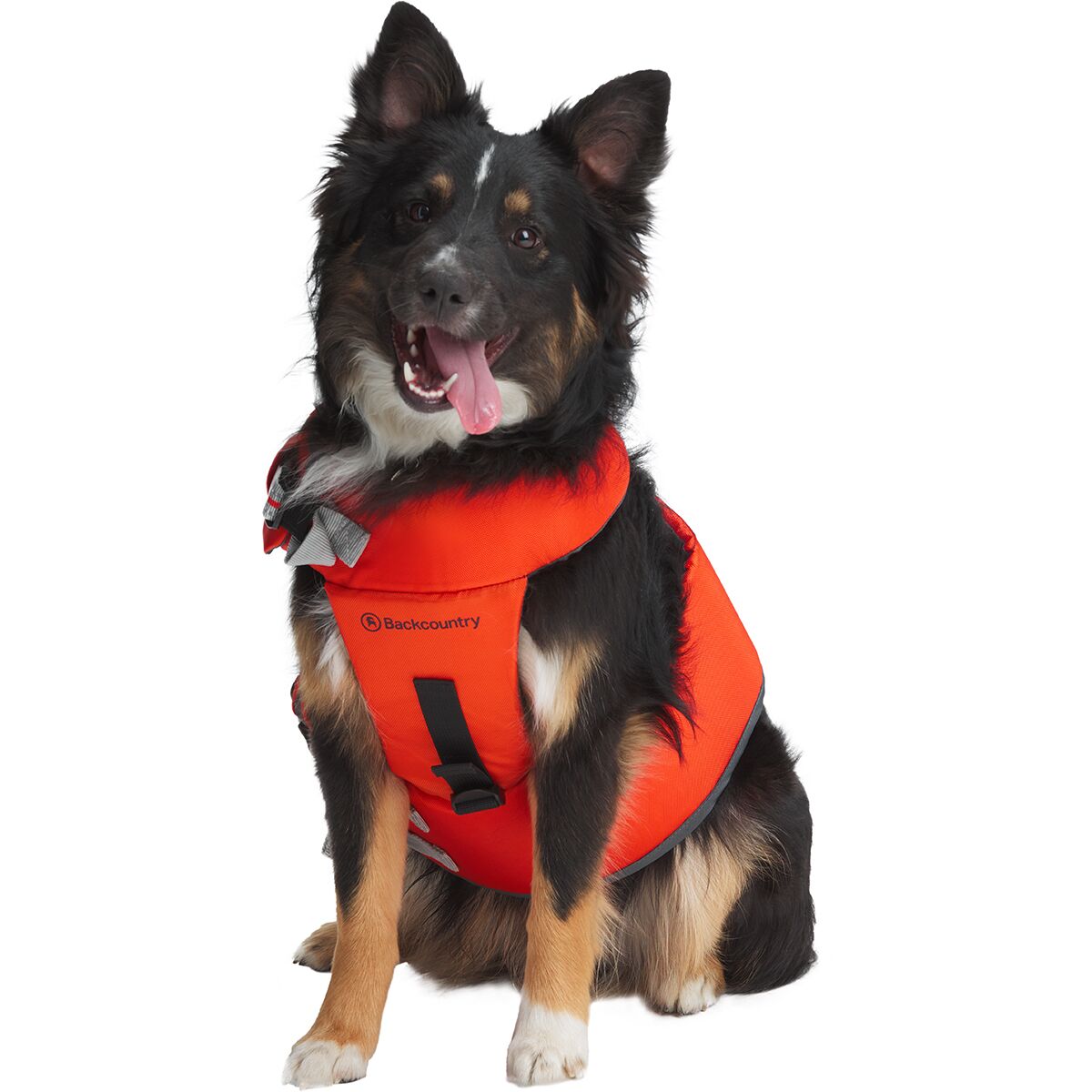 Zhongde Dog Life Jacket for Small Medium Large Dog Adjustable Shark Floatation Pet Lifesaver Vest with Adjustable Soft Rubber Handle for Swimming and Boating 