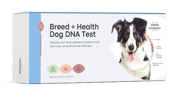 Basepaws dog dna test kit