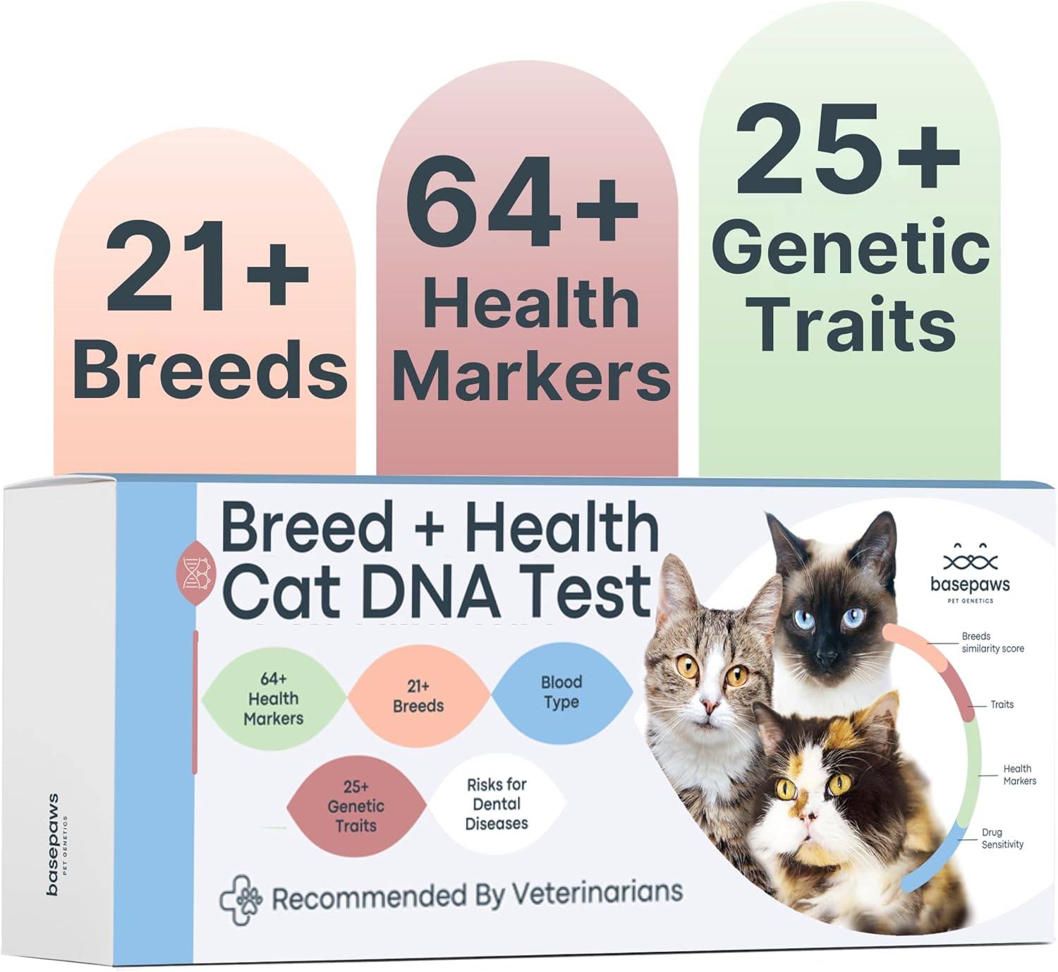 Basepaws Breed + Health Cat DNA Test