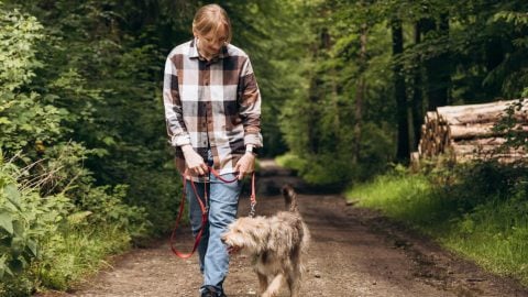 Adult walking dog along woodland trail
