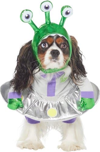 Dog dressed in an alien costume