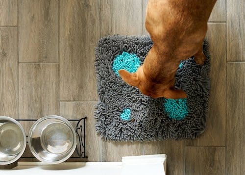Pet Parents Forager compact snuffle mat