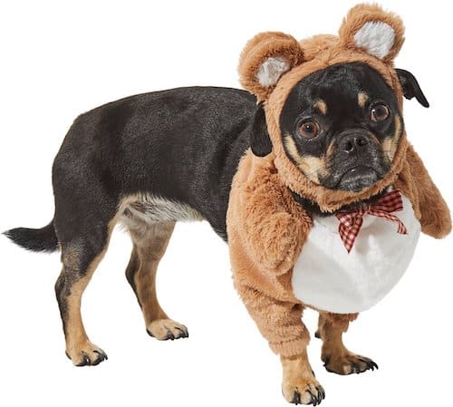 Dog wearing a teddy bear costume