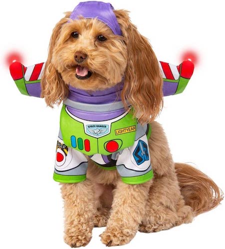 Dog wearing Buzz Lightyear costume