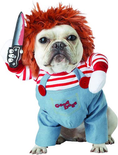 Dog wearing Chucky costume