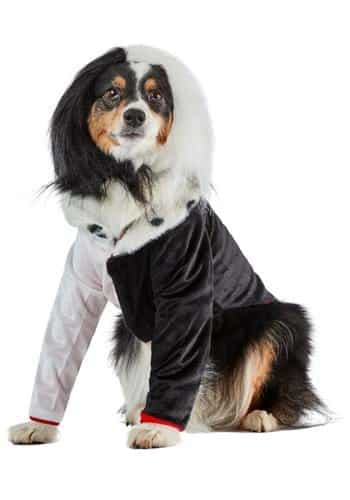 Dog wearing Cruella Deville costume