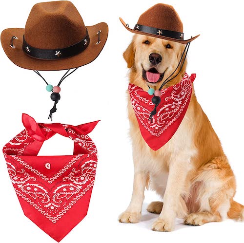 Dog wearing a cowboy hat and bandana