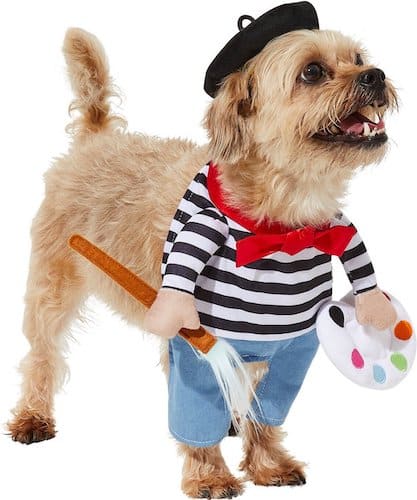 Dog wearing artist costume