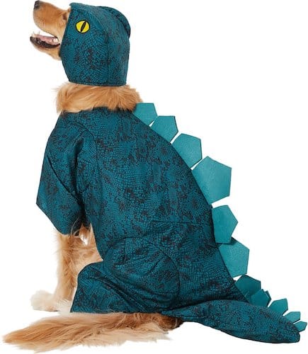 Dog wearing a teal dinosaur costume