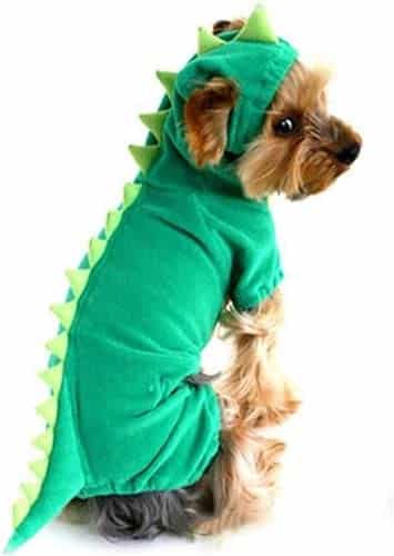 Dog wearing a green dragon costume