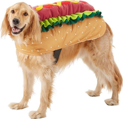 Golden Retriever wearing a hot dog costume