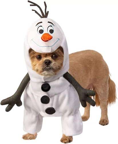 Dog dressed as Olaf from Frozen