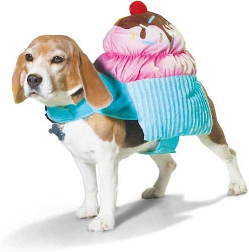 Dog wearing cupcake costume