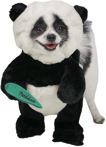 Dog in a panda costume