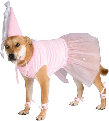 Dog wearing a pink princess costume