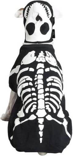 Back of a dog skeleton costume