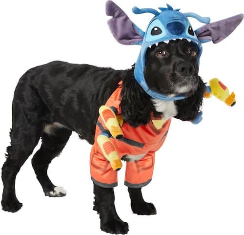 Dog wearing Stitch costume