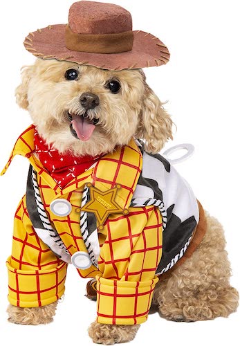 Dog wearing Woody costume from Toy Story