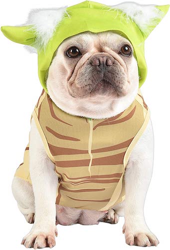 Dog wearing a Yoda costume