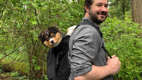 Man walks through forest with puppy in backpack