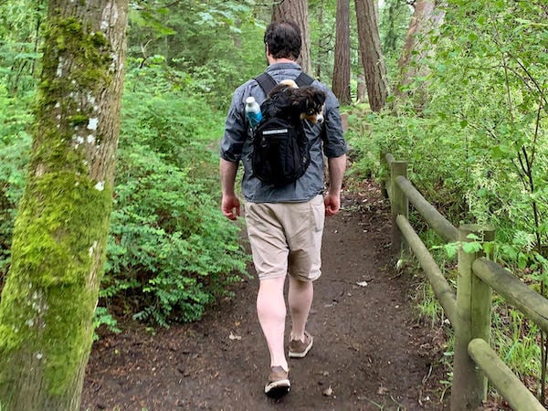 Man walks on trail with puppy in backpack