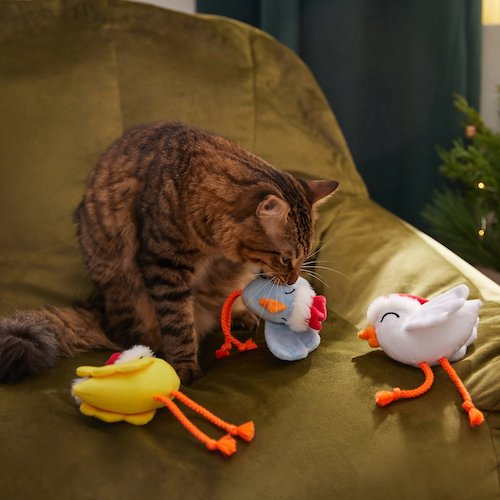 Cat playing with bird toys