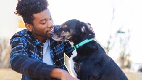 African American Generation Z Male Spending Time with his Pet Dog Photo Series