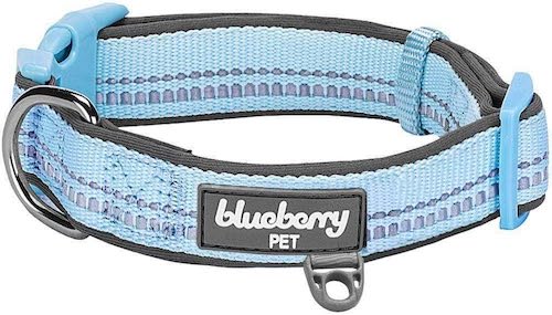 blueberry pet collar