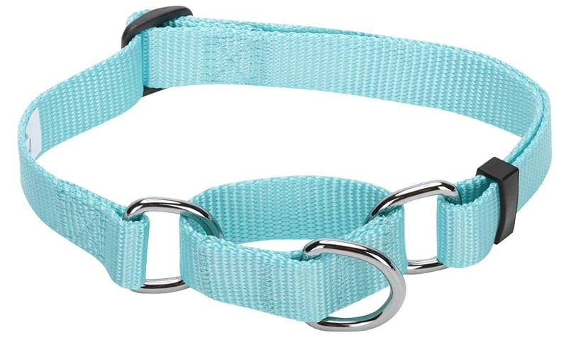 Blueberry Pet martingale collar