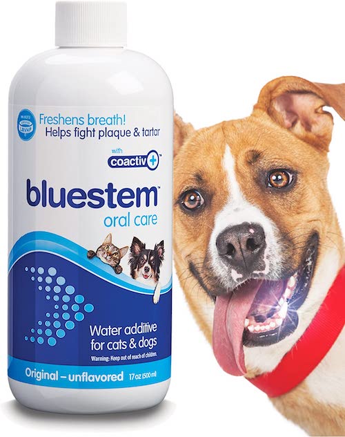 bluestem oral care water additive for dogs