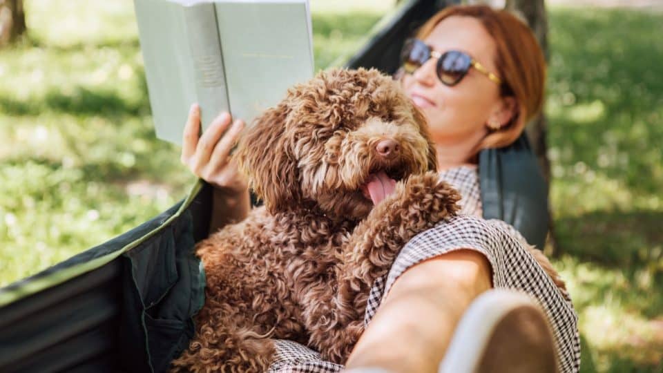 Pet parent who loves books with their dog